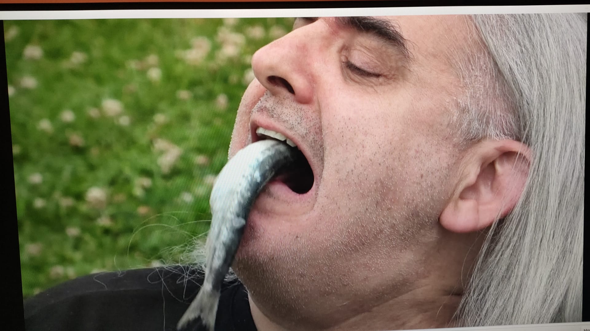 WhatsApp Image 2026-02-15 at 04.34.09 (1)